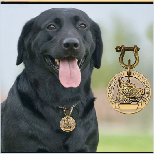 VIP Customizable Engraved Pets ID Tag for Dog Cat Bronze Nameplate Tags Personalized  Address Number Dogs Collar ID Pendant